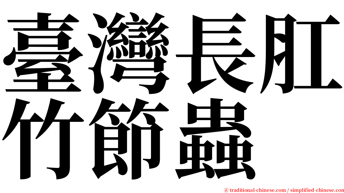 臺灣長肛竹節蟲 serif font