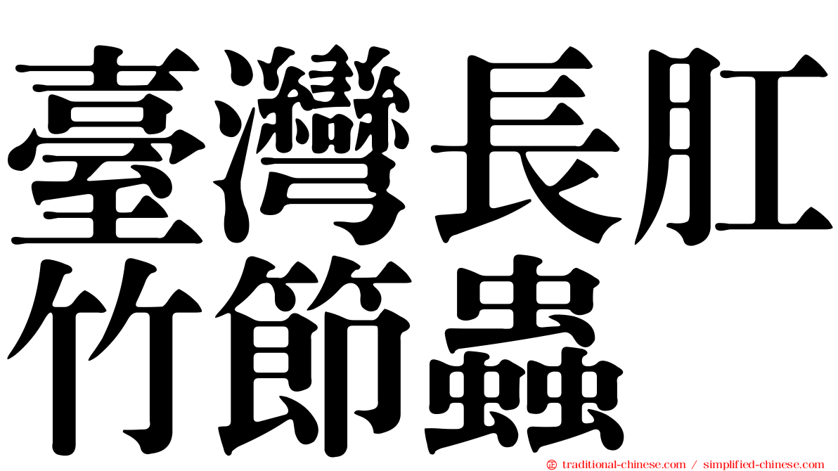 臺灣長肛竹節蟲