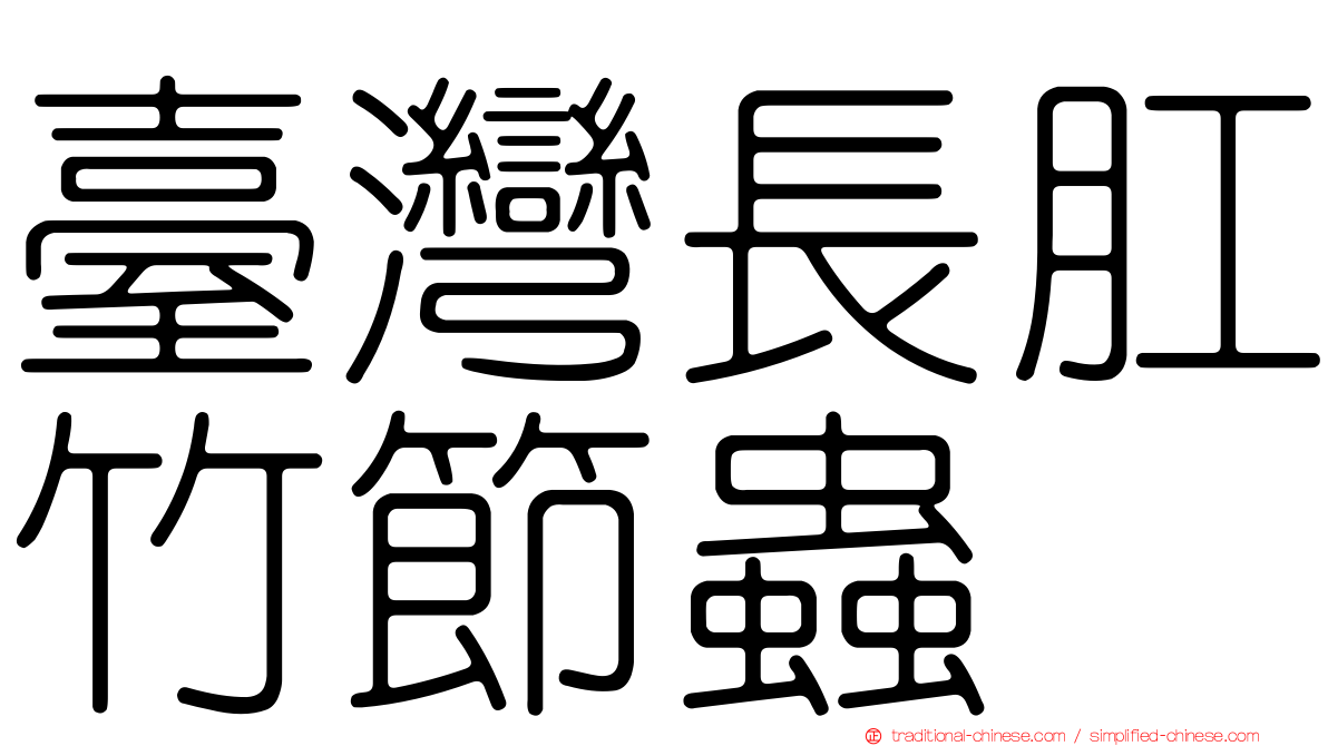 臺灣長肛竹節蟲
