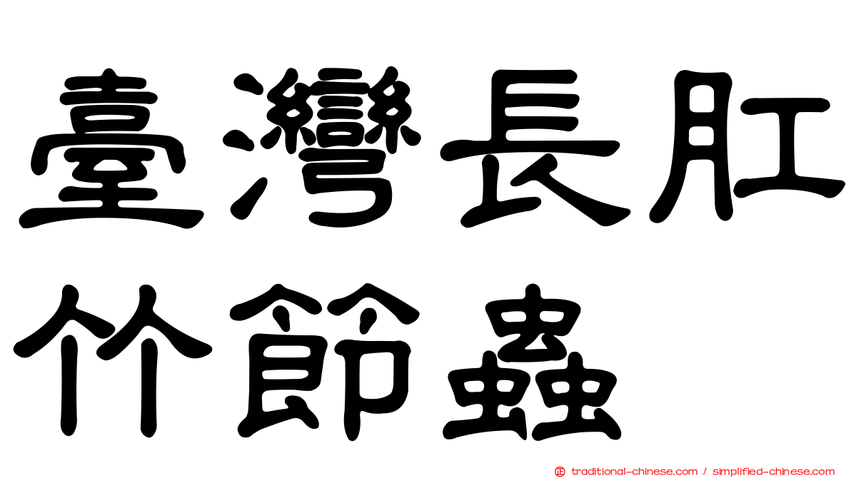 臺灣長肛竹節蟲