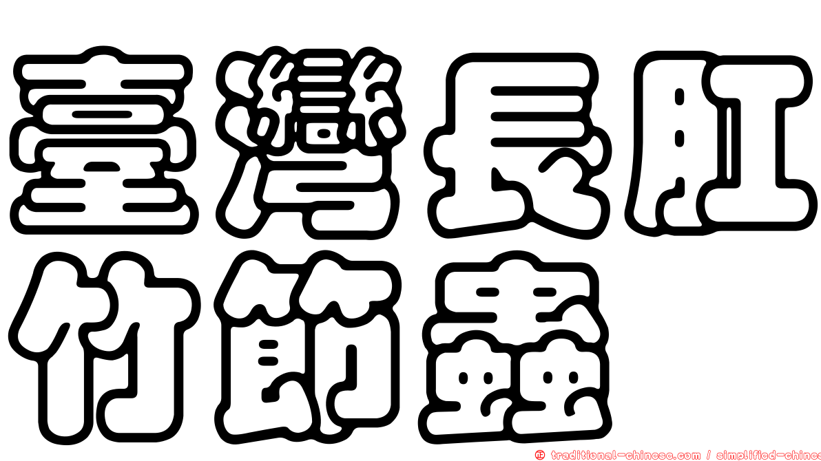 臺灣長肛竹節蟲