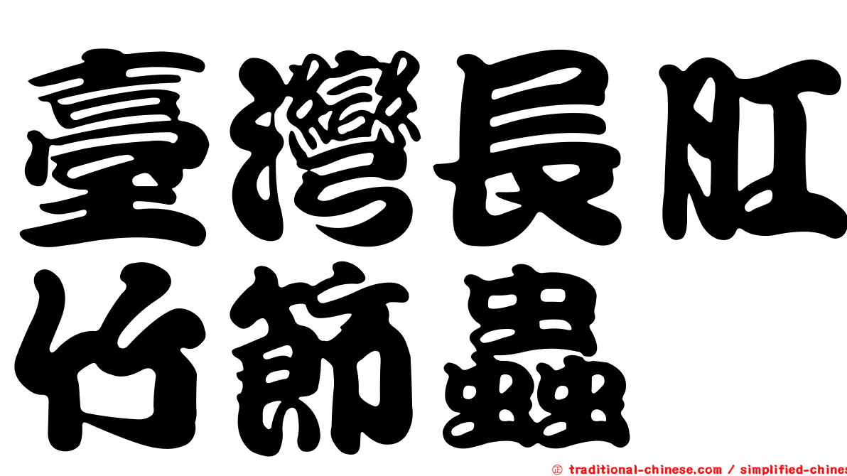 臺灣長肛竹節蟲