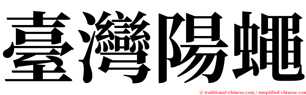 臺灣陽蠅 serif font
