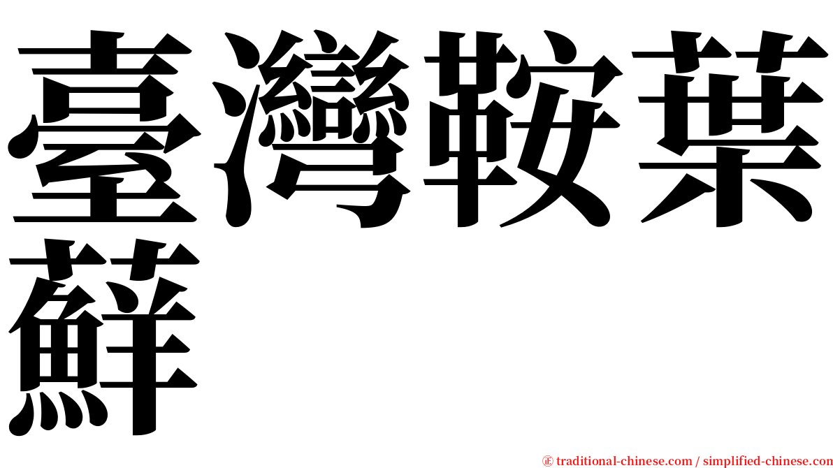 臺灣鞍葉蘚 serif font