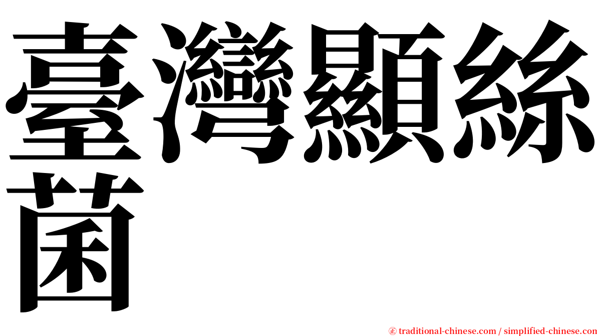 臺灣顯絲菌 serif font