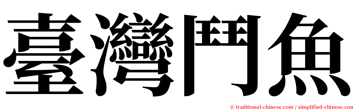 臺灣鬥魚 serif font