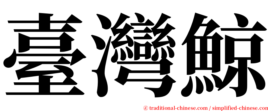 臺灣鯨 serif font