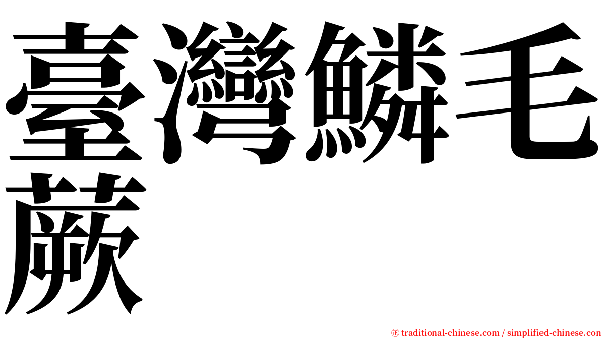 臺灣鱗毛蕨 serif font