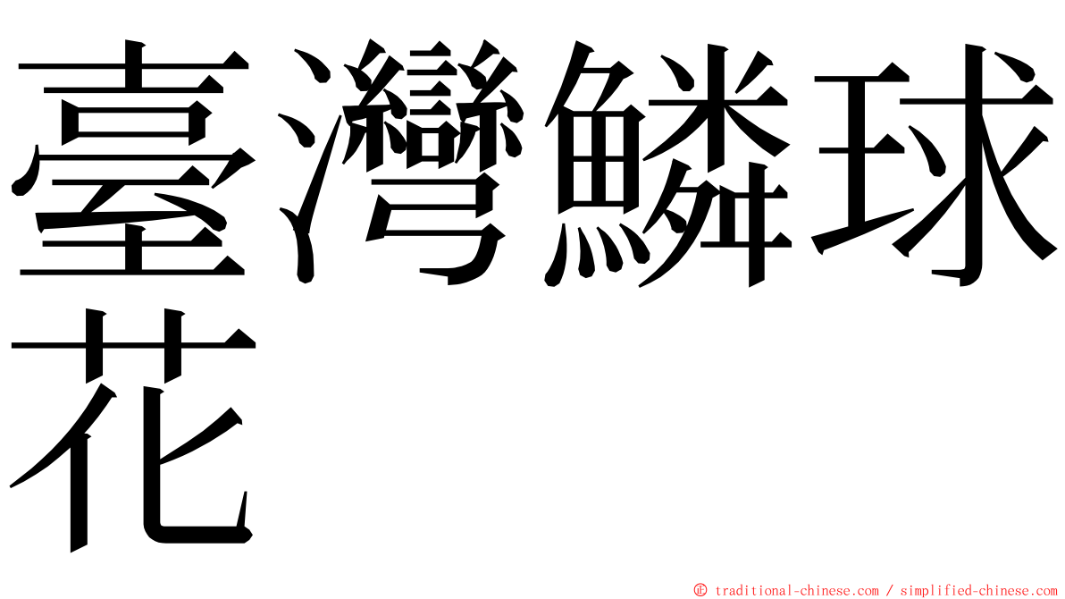 臺灣鱗球花 ming font