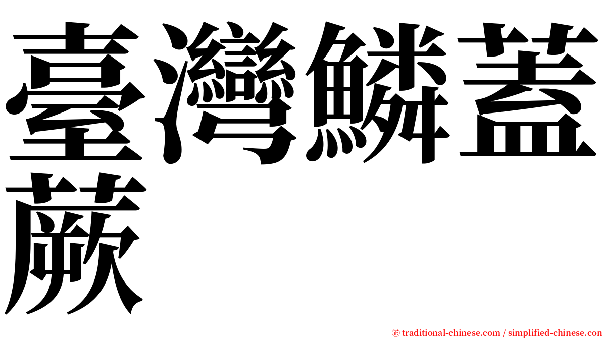 臺灣鱗蓋蕨 serif font