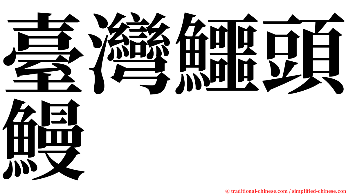 臺灣鱷頭鰻 serif font