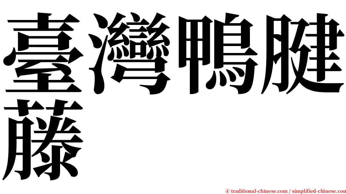 臺灣鴨腱藤 serif font