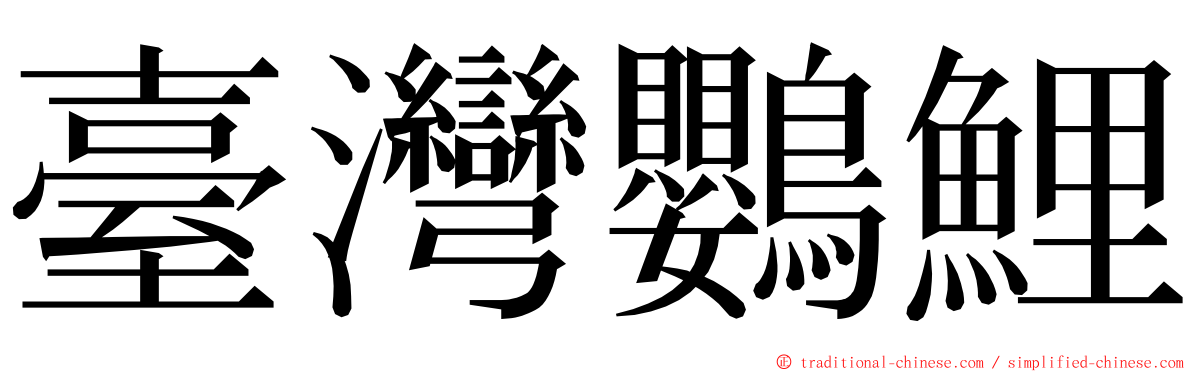 臺灣鸚鯉 ming font