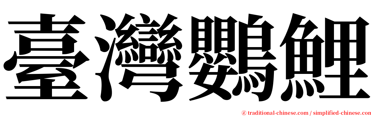 臺灣鸚鯉 serif font