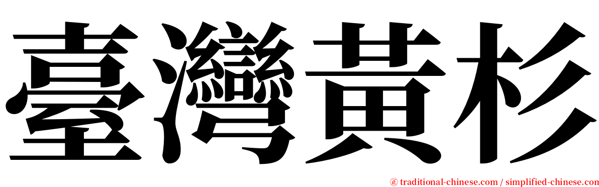 臺灣黃杉 serif font