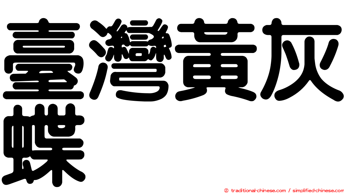 臺灣黃灰蝶