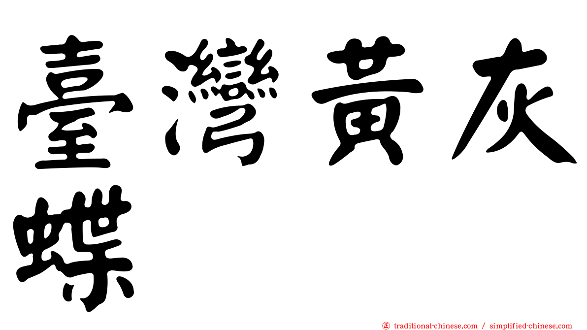 臺灣黃灰蝶