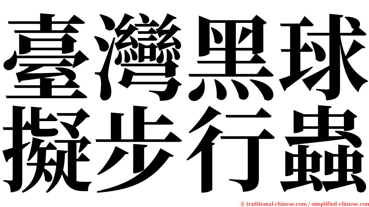臺灣黑球擬步行蟲 serif font