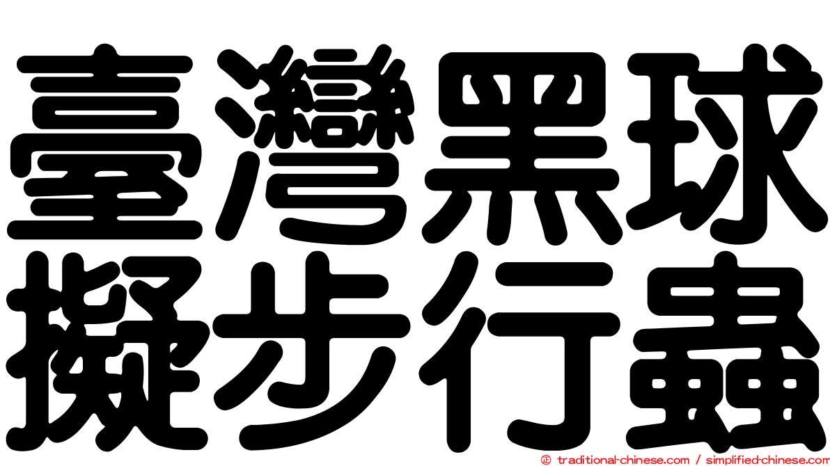 臺灣黑球擬步行蟲