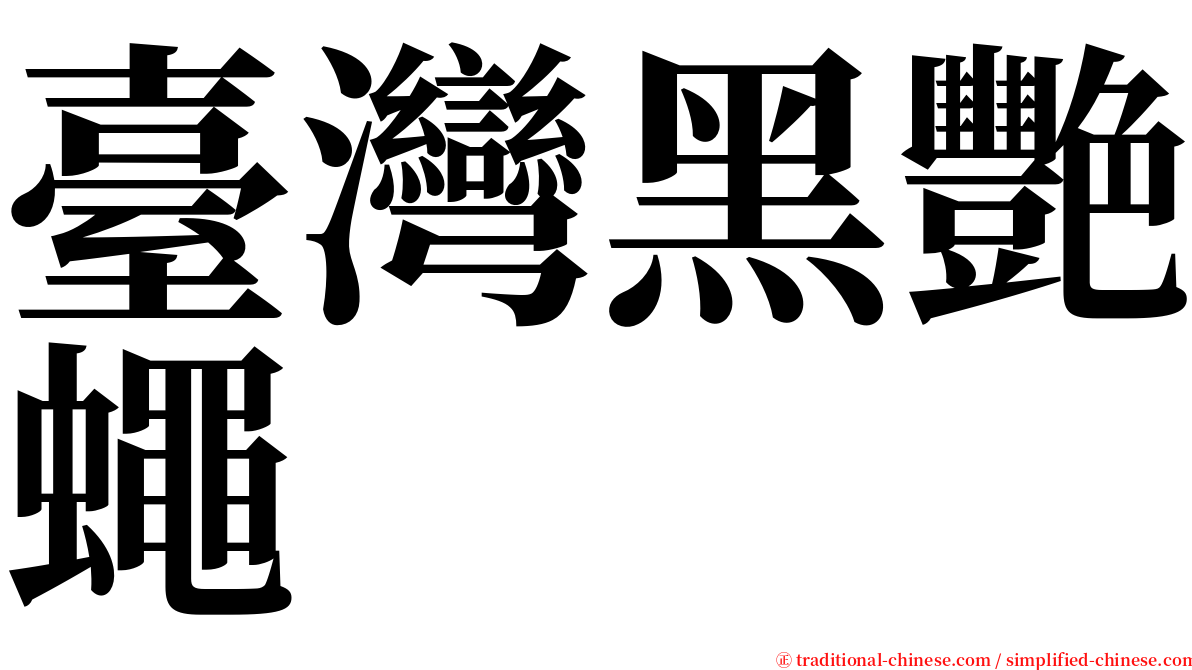 臺灣黑艷蠅 serif font