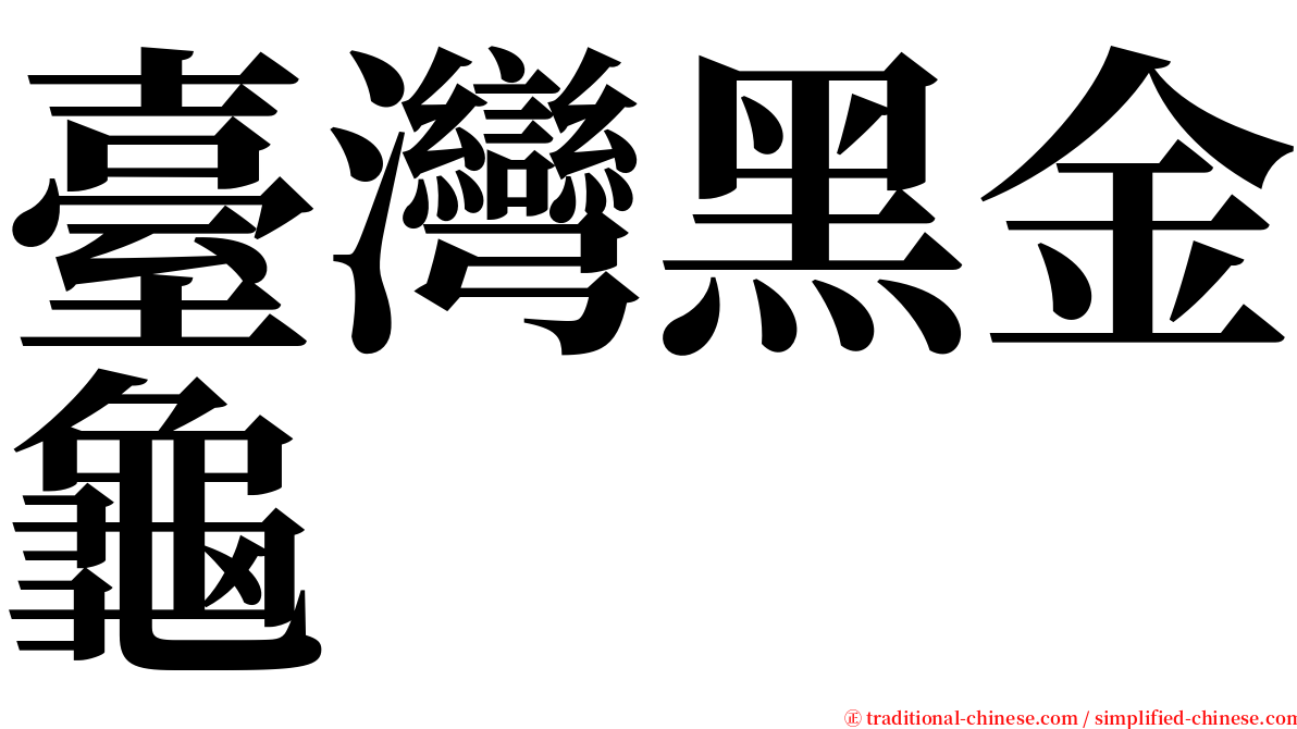 臺灣黑金龜 serif font