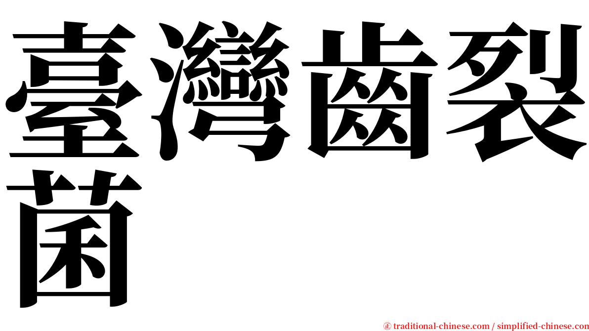 臺灣齒裂菌 serif font