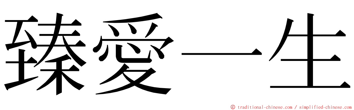 臻愛一生 ming font