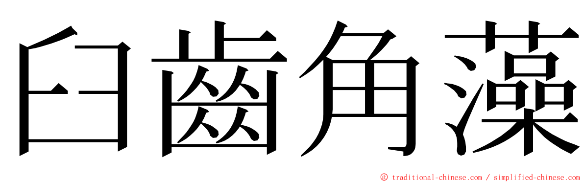 臼齒角藻 ming font