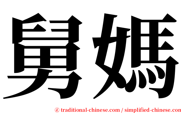 舅媽 serif font