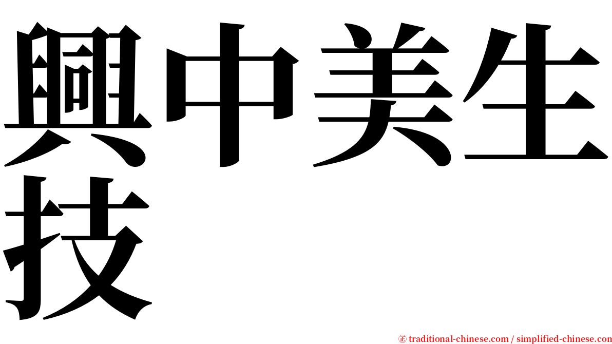 興中美生技 serif font