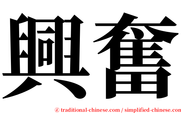 興奮 serif font