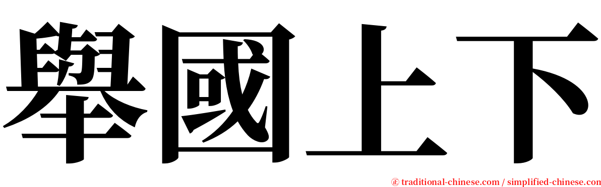 舉國上下 serif font