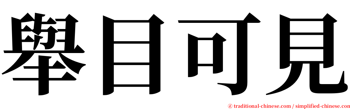 舉目可見 serif font