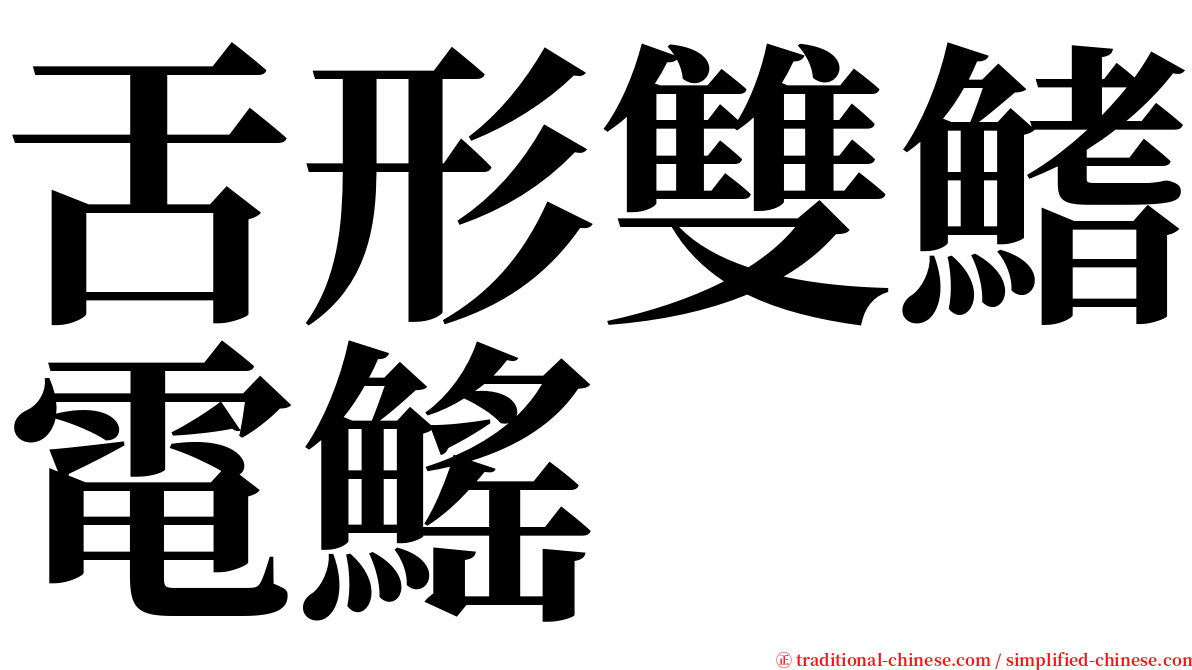 舌形雙鰭電鰩 serif font