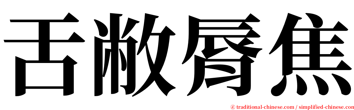 舌敝脣焦 serif font