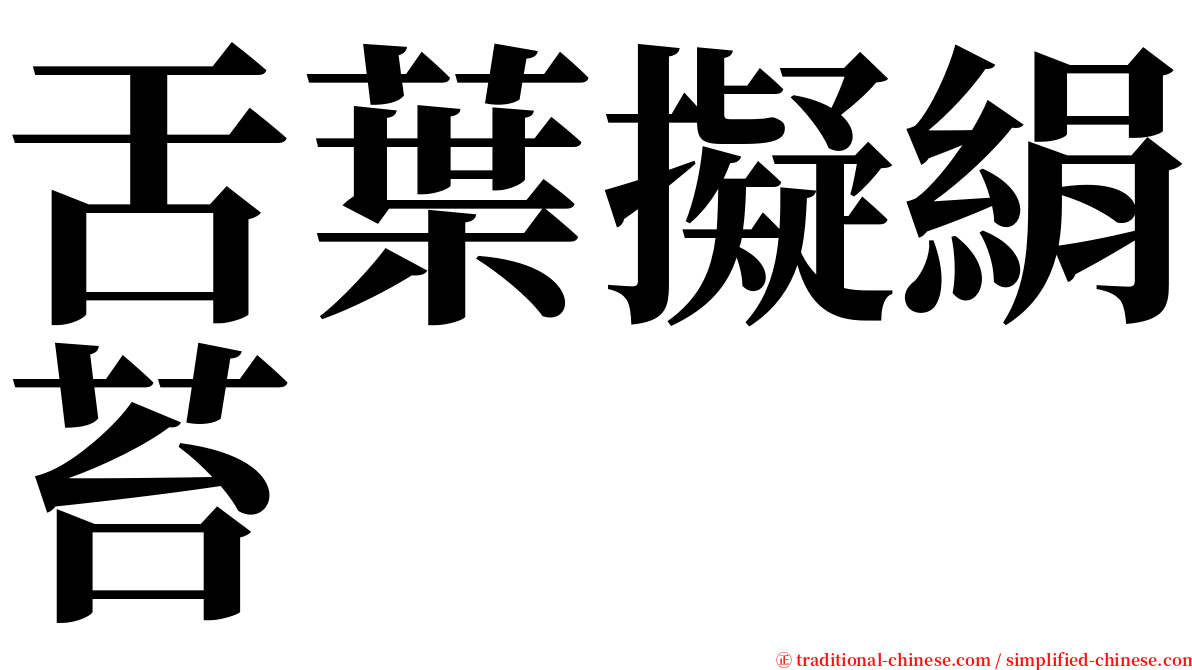 舌葉擬絹苔 serif font