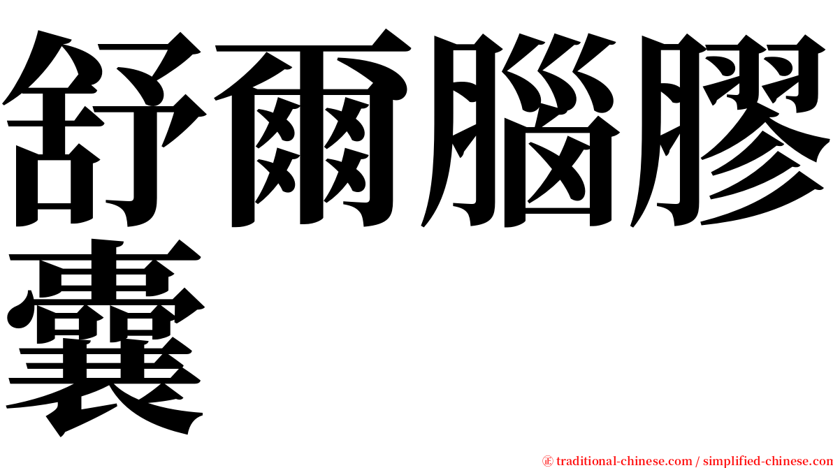 舒爾腦膠囊 serif font