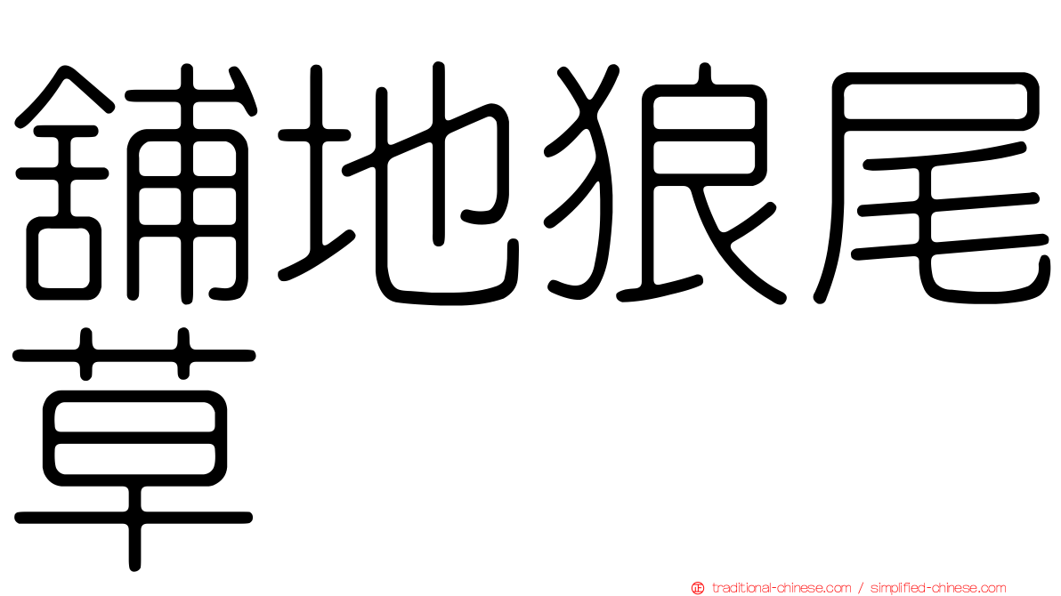 舖地狼尾草