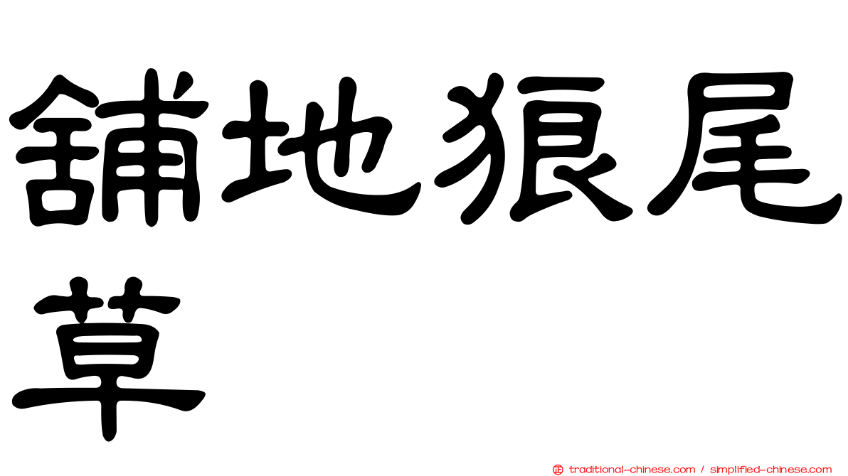 舖地狼尾草