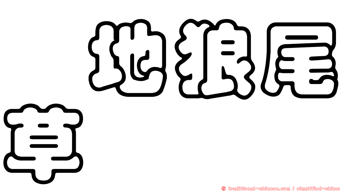 舖地狼尾草
