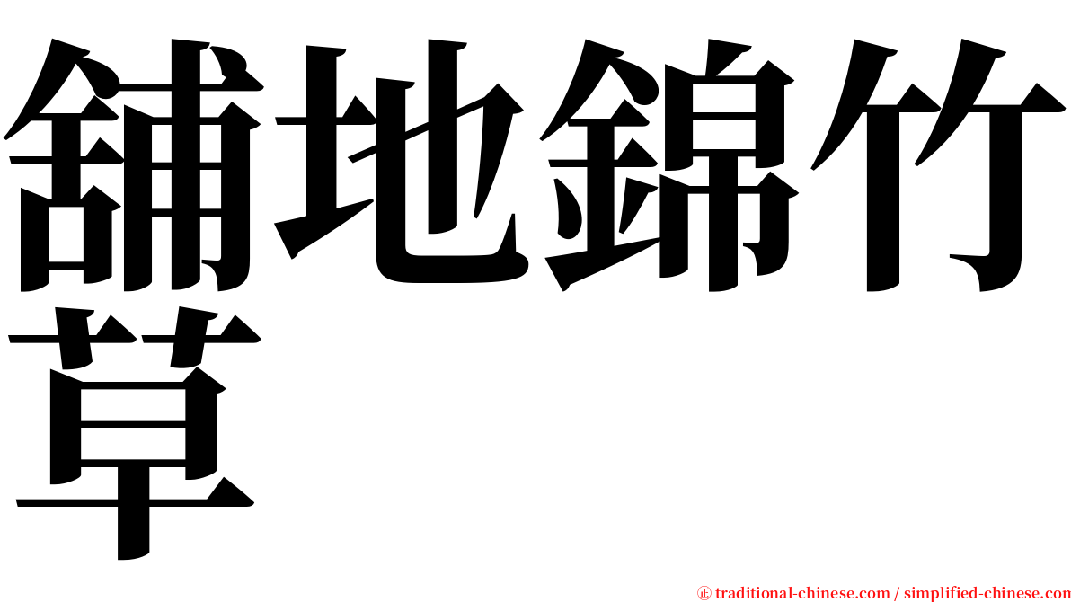 舖地錦竹草 serif font