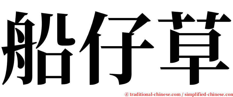 船仔草 serif font