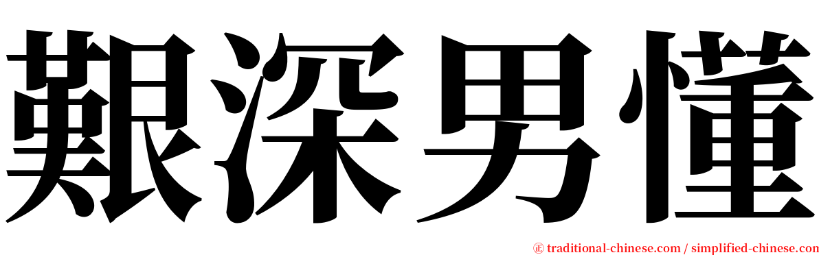 艱深男懂 serif font