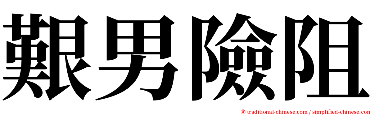 艱男險阻 serif font