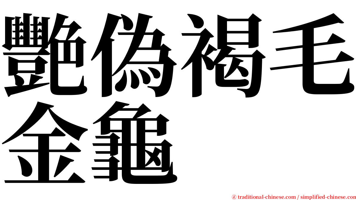 艷偽褐毛金龜 serif font