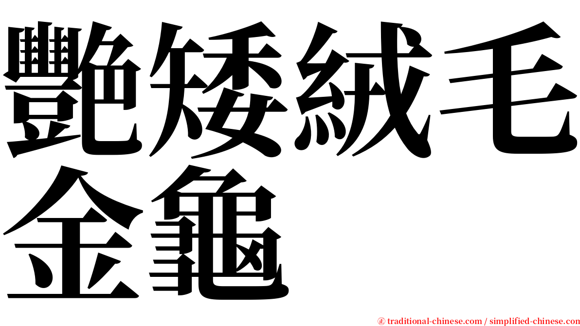 艷矮絨毛金龜 serif font