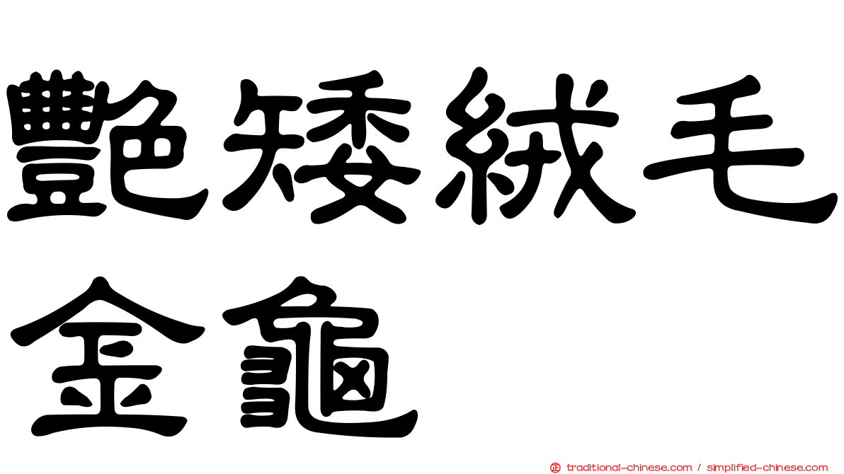 艷矮絨毛金龜