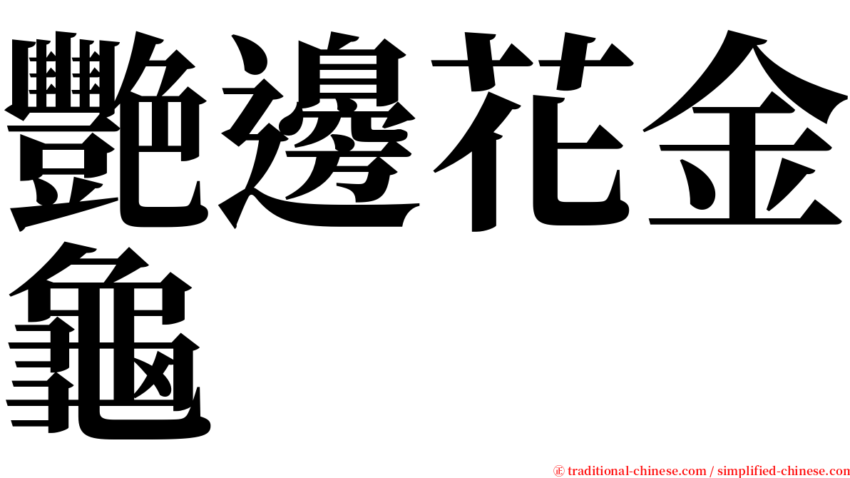 艷邊花金龜 serif font