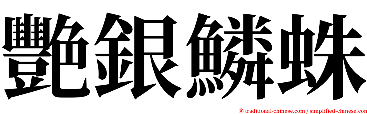 艷銀鱗蛛 serif font