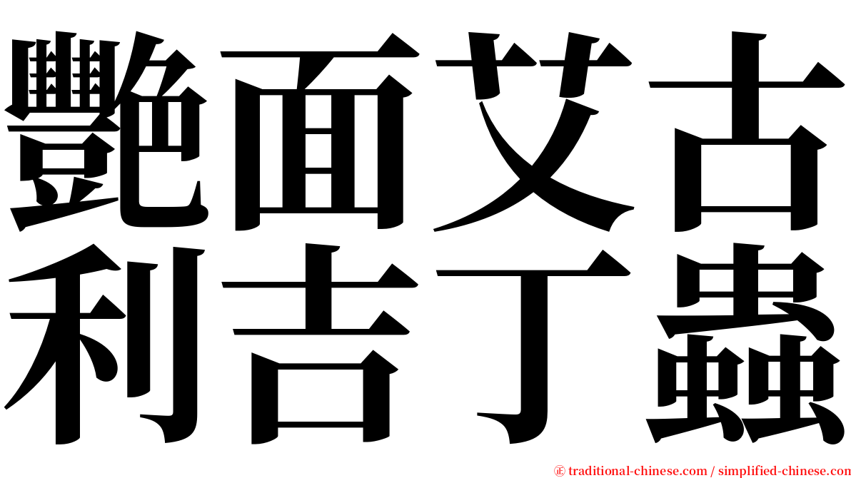 艷面艾古利吉丁蟲 serif font